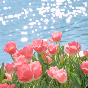 神乐桃果爆乳无删减版百度云盘
