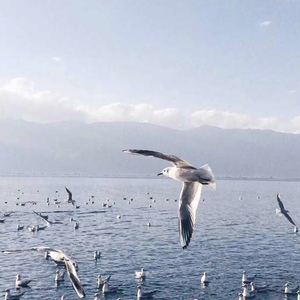 神乐桃果爆乳无删减版百度云盘
